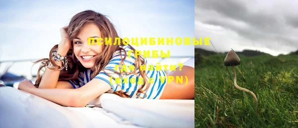 таблы Медвежьегорск