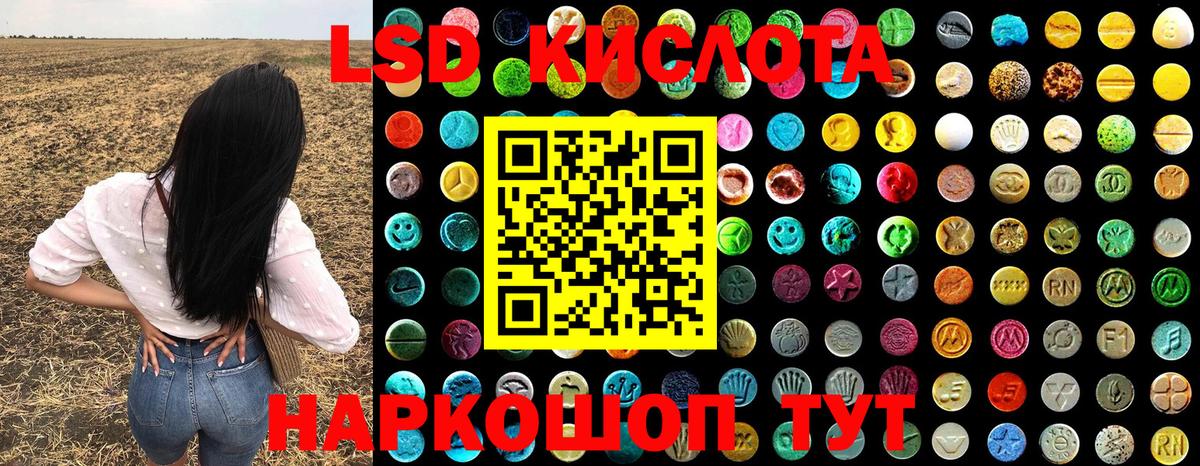 Лсд 25 Дзержинск