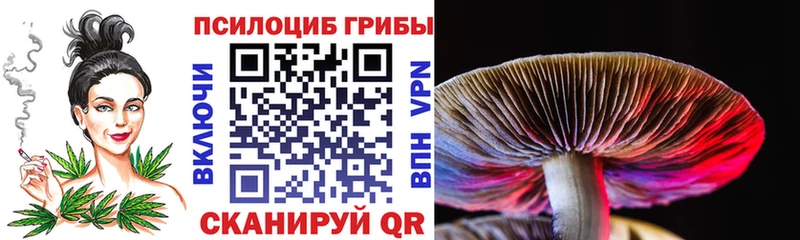 Псилоцибиновые грибы MAGIC MUSHROOMS  Дзержинск 