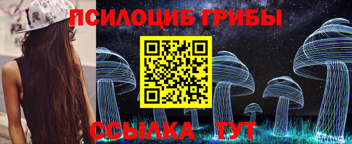 Галлюциногенные грибы Cubensis Дзержинск