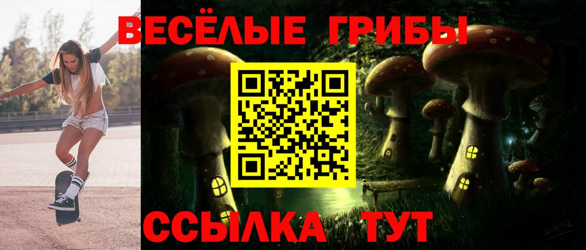 Псилоцибиновые грибы Psilocybe Дзержинск