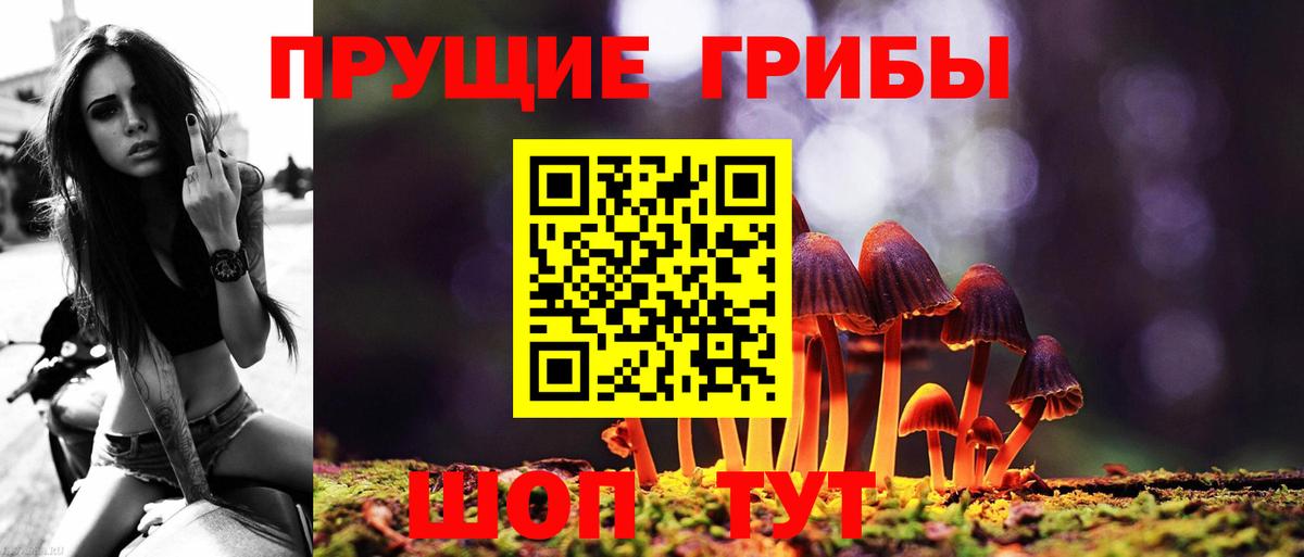 Дзержинск  Псилоцибиновые грибы Psilocybine cubensis  где можно купить наркотик  Вход с VPN 